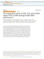 The cooperative action of CSB, CSA, and UVSSA target TFIIH to DNA damage-stalled RNA polymerase II