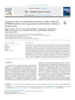 Translocase of the outer mitochondrial membrane complex subunit 20 (TOMM20) facilitates cancer aggressiveness and therapeutic resistance in chondrosarcoma