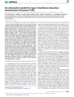 An alternative model for type I interferon induction downstream of human TLR2