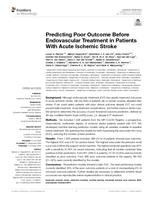 Predicting poor outcome before endovascular treatment in patients with acute ischemic stroke