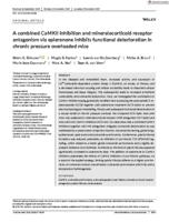 A combined CaMKII inhibition and mineralocorticoid receptor antagonism via eplerenone inhibits functional deterioration in chronic pressure overloaded mice