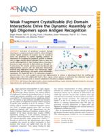 Weak fragment crystallizable (Fc) domain interactions drive the dynamic assembly of IgG oligomers upon antigen recognition