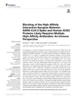 Blocking of the high-affinity interaction-synapse between SARS-CoV-2 spike and human ACE2 proteins likely requires multiple high-affinity antibodies