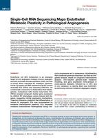 Single-cell RNA sequencing maps endothelial metabolic plasticity in pathological angiogenesis