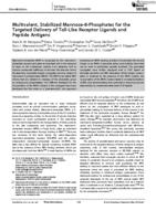 Multivalent, stabilized mannose-6-phosphates for the targeted delivery of toll-like receptor ligands and peptide antigens