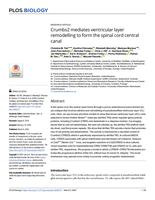 Crumbs2 mediates ventricular layer remodelling to form the spinal cord central canal