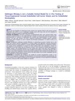 Gottingen minipig is not a suitable animal model for in vivo testing of tissue-engineered corneal endothelial cell-carrier sheets and for endothelial keratoplasty