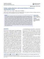 Cellular coupling determines scale-invariant behavior of neurons in suprachiasmatic nucleus