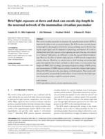 Brief light exposure at dawn and dusk can encode day-length in the neuronal network of the mammalian circadian pacemaker