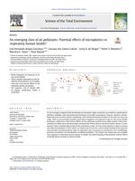 An emerging class of air pollutants: potential effects of microplastics to respiratory human health?