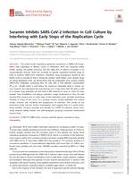 Suramin inhibits SARS-CoV-2 infection in cell culture by interfering with early steps of the replication cycle