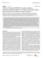 Ad26 vector-based COVID-19 vaccine encoding a prefusion-stabilized SARS-CoV-2 Spike immunogen induces potent humoral and cellular immune responses
