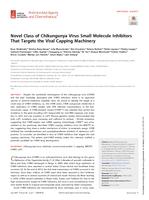 Novel class of chikungunya virus small molecule inhibitors that targets the viral capping machinery