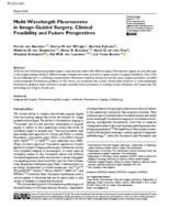 Multi-wavelength fluorescence in image-guided surgery, clinical feasibility and future perspectives