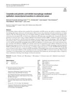 Ceramide and palmitic acid inhibit macrophage-mediated epithelial-mesenchymal transition in colorectal cancer