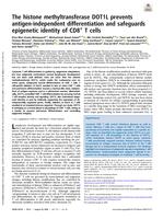 The histone methyltransferase DOT1L prevents antigen-independent differentiation and safeguards epigenetic identity of CD8(+) T cells