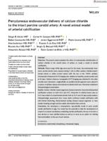 Percutaneous endovascular delivery of calcium chloride to the intact porcine carotid artery