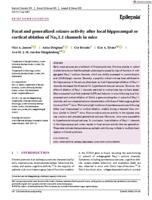 Focal and generalized seizure activity after local hippocampal or cortical ablation of Na(V)1.1 channels in mice