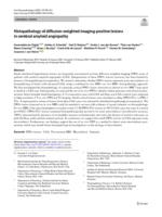 Histopathology of diffusion-weighted imaging-positive lesions in cerebral amyloid angiopathy