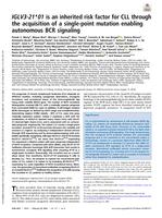 IGLV3-21*01 is an inherited risk factor for CLL through the acquisition of a single-point mutation enabling autonomous BCR signaling