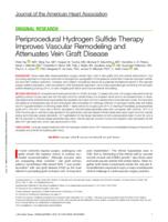 Periprocedural hydrogen sulfide therapy improves vascular remodeling and attenuates vein graft disease