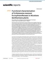 Functional characterization of Schistosoma mansoni fucosyltransferases in Nicotiana benthamiana plants