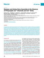 Synapse and active zone assembly in the absence of presynaptic Ca2+ channels and Ca2+ entry