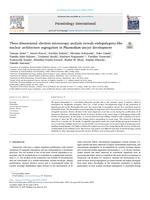 Three-dimensional electron microscopy analysis reveals endopolygeny-like nuclear architecture segregation in Plasmodium oocyst development