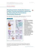 Phosphorylcholine antibodies preserve cardiac function and reduce infarct size by attenuating the post-ischemic inflammatory response