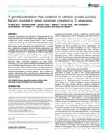 A genetic interaction map centered on cohesin reveals auxiliary factors involved in sister chromatid cohesion in S. cerevisiae