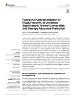 Functional characterization of PALB2 variants of uncertain significance: toward cancer risk and therapy response prediction