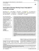 Banff digital pathology working group