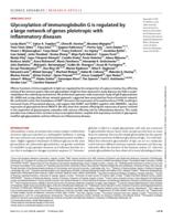 Glycosylation of immunoglobulin G is regulated by a large network of genes pleiotropic with inflammatory diseases