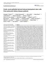 Cystic renal-epithelial derived induced pluripotent stem cells from polycystic kidney disease patients