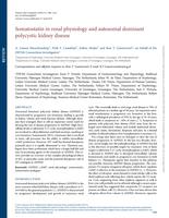 Somatostatin in renal physiology and autosomal dominant polycystic kidney disease