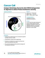 Isotype switching converts anti-CD40 antagonism to agonism to elicit potent antitumor activity