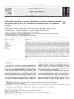 Differential regulation of lineage commitment in human and mouse primed pluripotent stem cells by the nucleosome remodelling and deacetylation complex