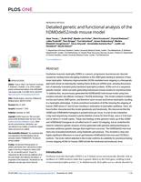 Detailed genetic and functional analysis of the hDMDdel52/mdx mouse model