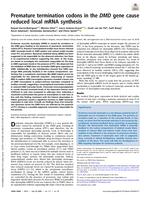 Premature termination codons in the DMD gene cause reduced local mRNA synthesis