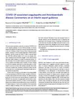 COVID-19 associated coagulopathy and thromboembolic disease: commentary on an interim expert guidance
