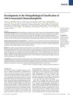 Developments in the histopathological classification of ANCA-associated glomerulonephritis