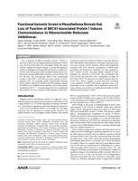 Functional genomic screen in mesothelioma reveals that loss of function of BRCA1-associated protein 1 induces chemoresistance to ribonucleotide reductase inhibition