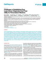 Challenges in establishing pure lung cancer organoids limit their utility for personalized medicine