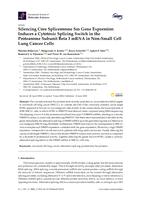 Silencing core spliceosome Sm gene expression induces a cytotoxic splicing switch in the proteasome subunit beta 3 mRNA in non-small cell lung cancer cells