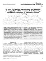 De novo CLTC variants are associated with a variable phenotype from mild to severe intellectual disability, microcephaly, hypoplasia of the corpus callosum, and epilepsy