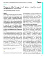 The journey of Ca2+ through the cell - pulsing through the network of ER membrane contact sites