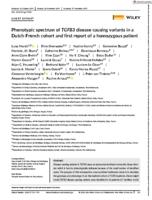 Phenotypic spectrum of TGFB3 disease-causing variants in a Dutch-French cohort and first report of a homozygous patient