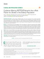 Cysteine-altering NOTCH3 variants are a risk factor for stroke in the elderly population