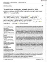 Targeted donor complement blockade after brain death prevents delayed graft function in a nonhuman primate model of kidney transplantation