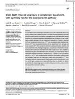 Brain death-induced lung injury is complement dependent, with a primary role for the classical/lectin pathway